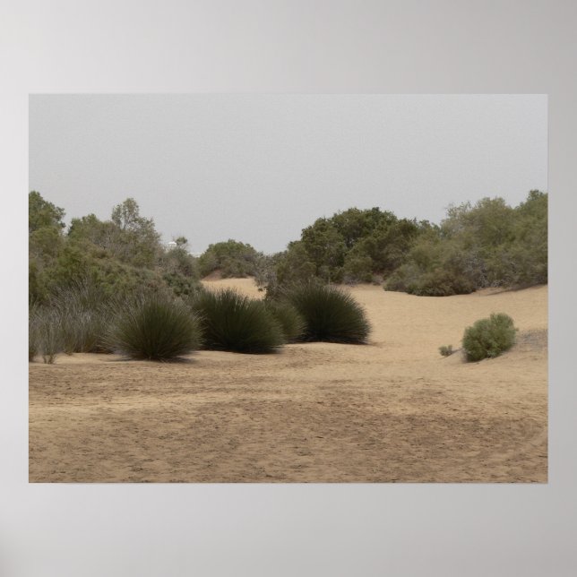 Desert land 1 poster (Front)