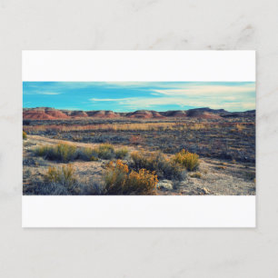 Desert Landscape in Southern Utah Postcard