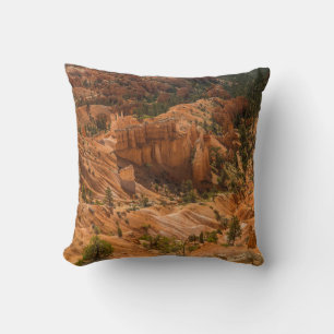 Desert landscape of Bryce Canyon National Park wit Cushion