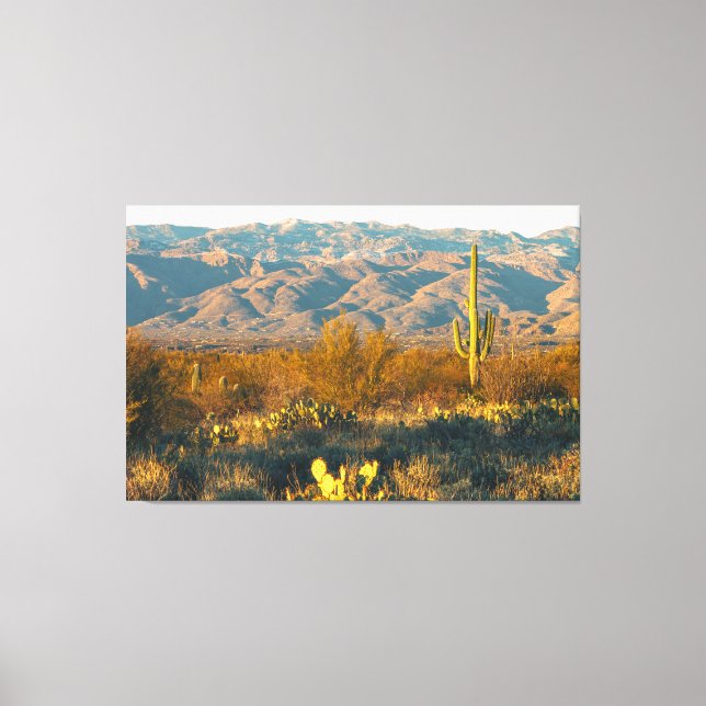 Desert Landscape with Saguaro Cactus Canvas Print (Front)