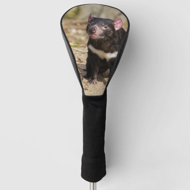 Desert Light – Tasmanian Devil Golf Head Cover (Front)