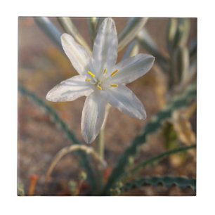 Desert Lily Wildflowers Tile
