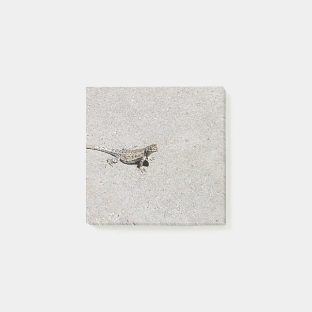 Desert Lizard on Sidewalk Photo Post-It Notes (Front)