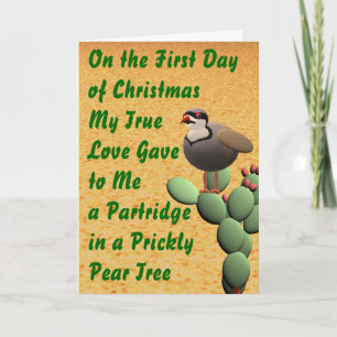 Desert Merry Christmas Holiday Card