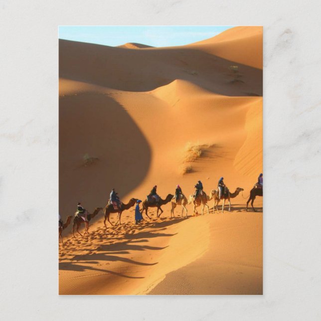 desert-morocco-sahara postcard (Front)