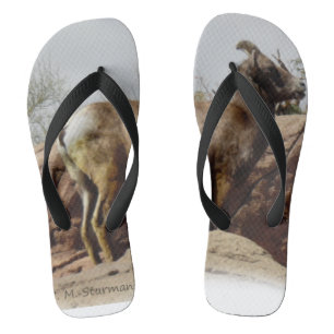 Desert Mountain Goat Jandals