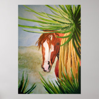 Desert Mustang in the Yuccas Poster