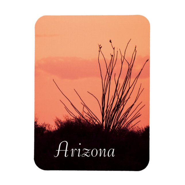 desert nights in Arizona Magnet (Vertical)