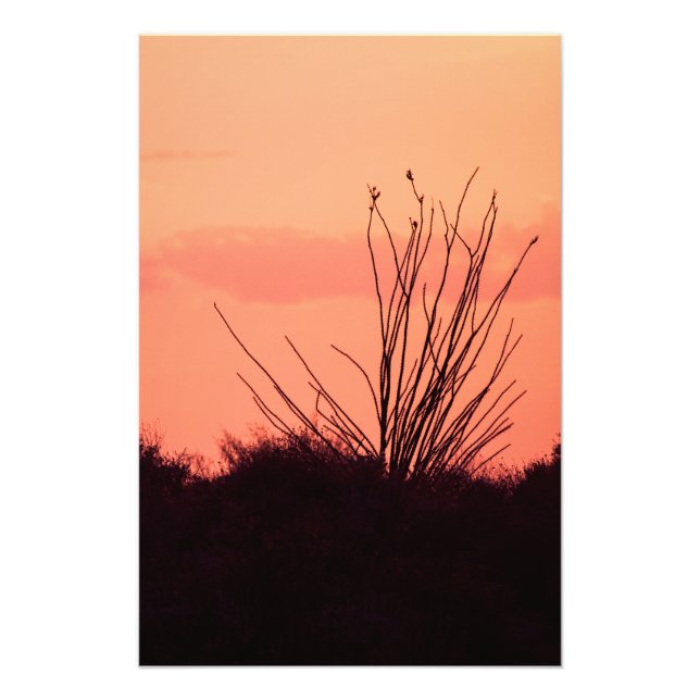 Desert nights photo print (Front)