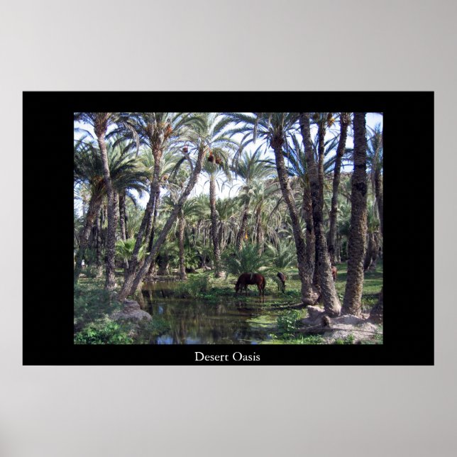 Desert Oasis Poster (Front)