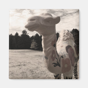 desert of maine magnet