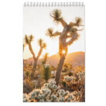 Desert Photo Gift with Cactus 