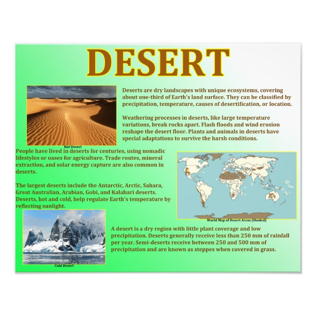 Desert Photo Print (Front)