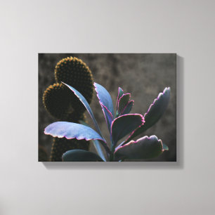 Desert Plants Canvas Print