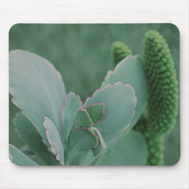 Desert Plants Mouse Pad (Front)