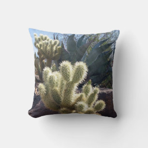 Desert Plants Saguaro National Park Arizona Cushion