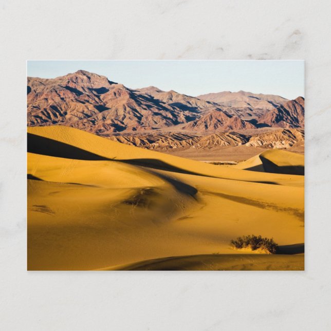 Desert Playground Postcard (Front)