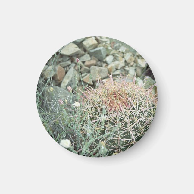 Desert Poetry Cactus Refrigerator Gift Magnet (Front)