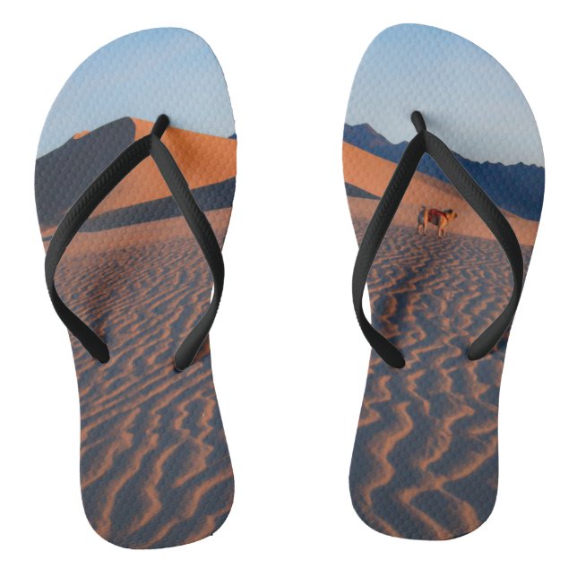 "Desert Pug with Wanderlust" Funny Pug Scenic Jandals (Footbed)