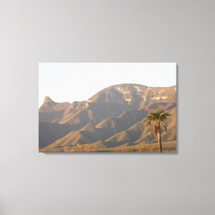 Desert ranch landscape near Monterey, Mexico. Canvas Print