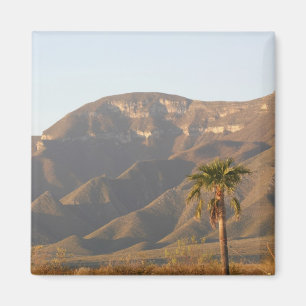 Desert ranch landscape near Monterey, Mexico. Magnet