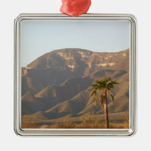 Desert ranch landscape near Monterey, Mexico. Metal Tree Decoration