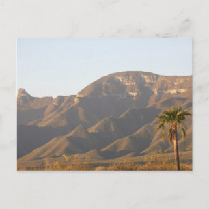 Desert ranch landscape near Monterey, Mexico. Postcard