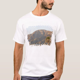 Desert ranch landscape near Monterey, Mexico. T-Shirt