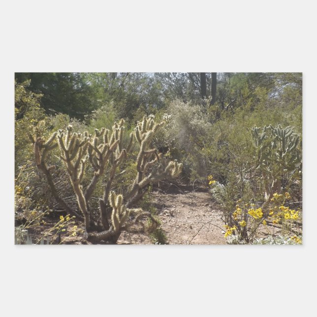 Desert Rectangular Sticker (Front)