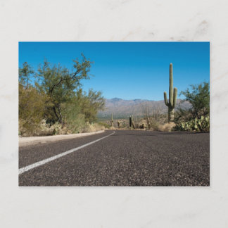 Desert Road Postcard