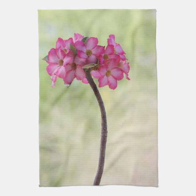 Desert rose in pink tea towel (Vertical)