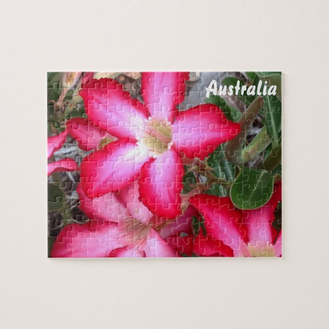 Desert Rose jigsaw puzzle (Horizontal)