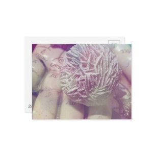 Desert Rose Postcard