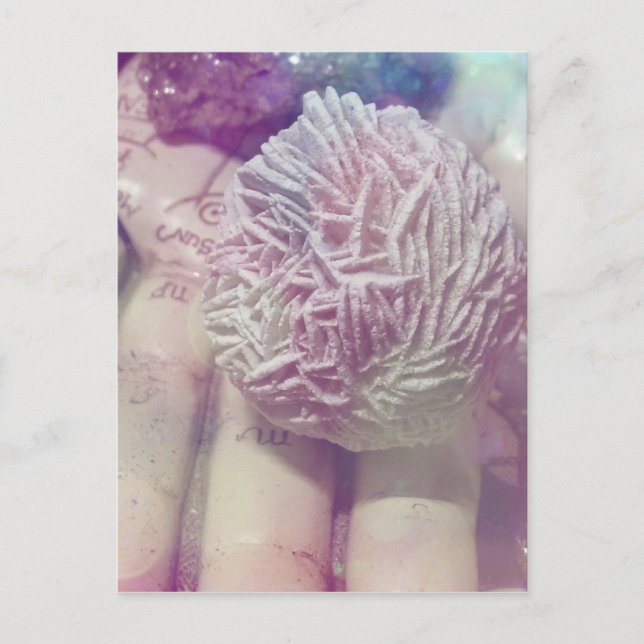 Desert Rose Postcard (Front)