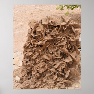 Desert Rose. Tunisia. Poster
