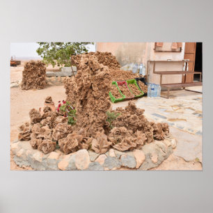 Desert Rose. tunisia. Poster