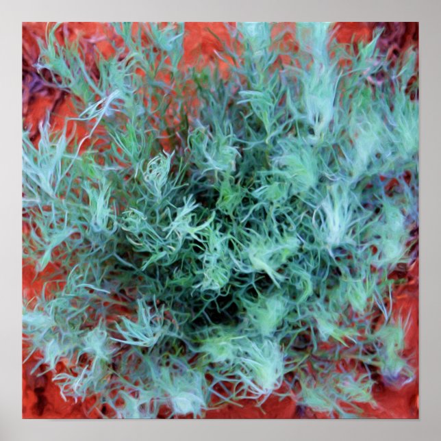 Desert Sage Poster (Front)