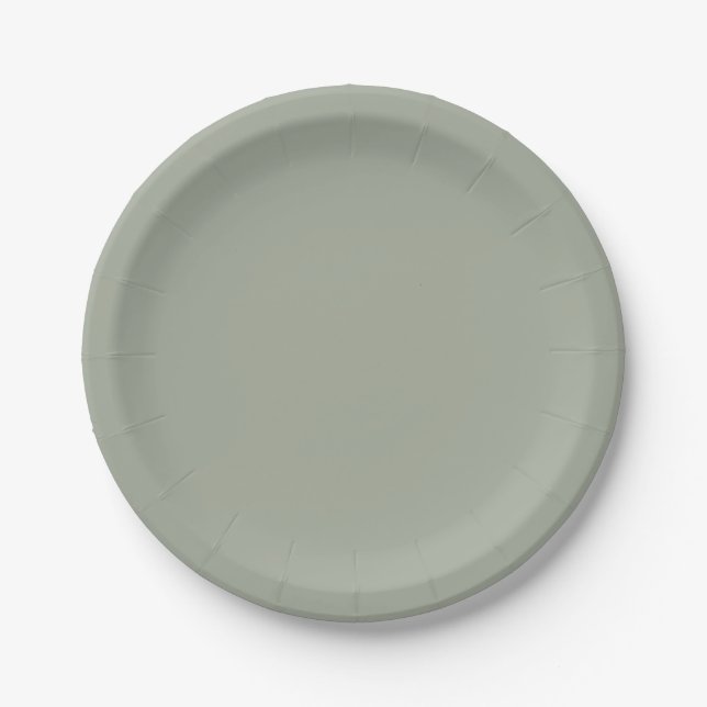 Desert Sage Solid Colour Paper Plate (Front)