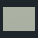 Desert Sage Solid Colour Postcard<br><div class="desc">Desert Sage Solid Colour</div>