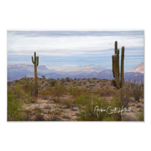 Desert Saguaro Photo Print