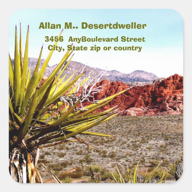 Desert Scenery Cacti  Return Address Square Sticker (Front)