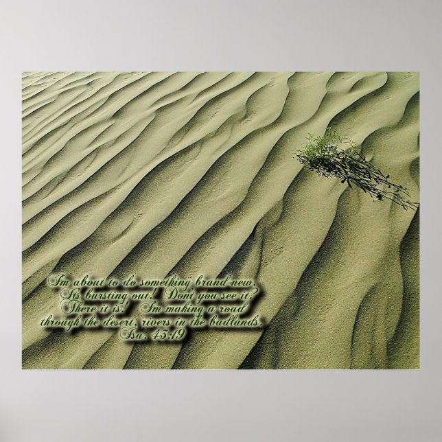 Desert Scripture Inspirational Poster (Front)