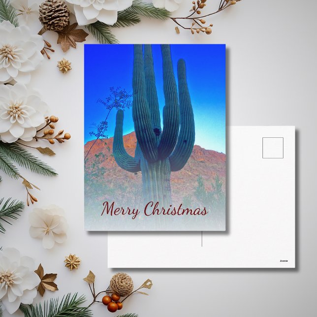 Desert Southwest Cactus Photo Christmas   Holiday Postcard (Creator Uploaded)