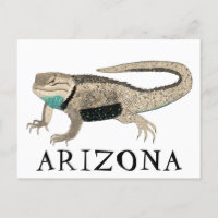 Desert Spiny Lizard ARIZONA Wild Animal Nature Art
