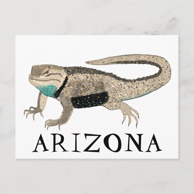 Desert Spiny Lizard ARIZONA Wild Animal Nature Art Postcard (Front)
