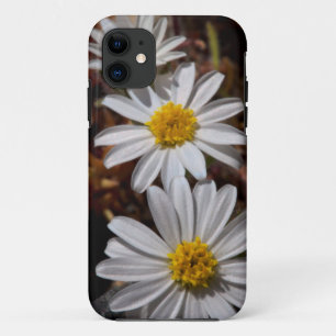 Desert Star Wildflowers iPhone 11 Case