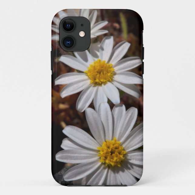 Desert Star Wildflowers Case-Mate iPhone Case (Back)