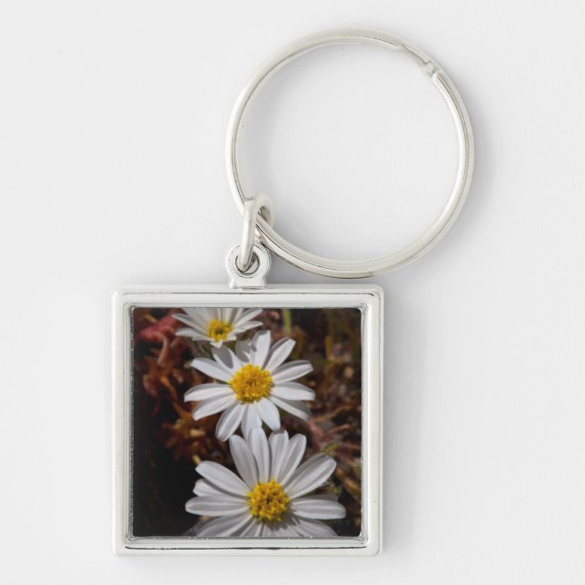 Desert Star Wildflowers Key Ring (Front)
