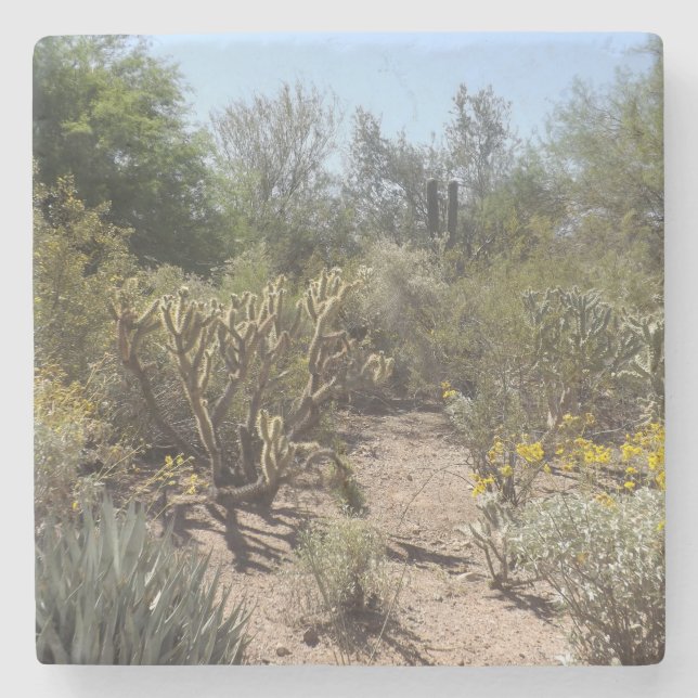 Desert Stone Coaster (Front)