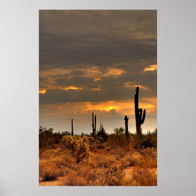 Desert Storm Poster (Front)